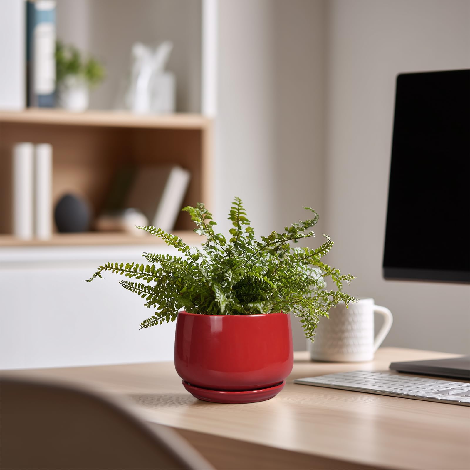 G EPGardening etiqueta informativa mostrando dimensiones y cuidados