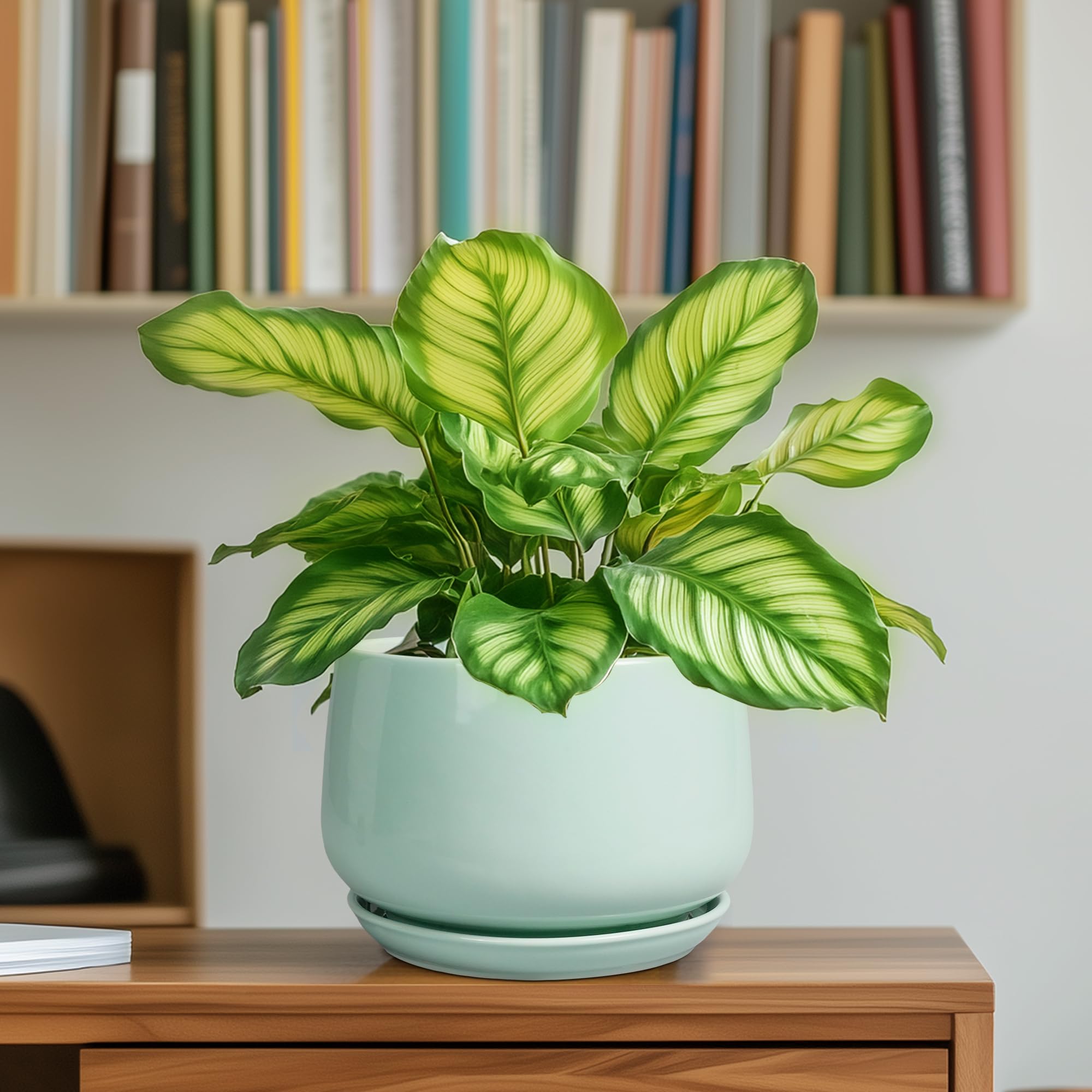 G EPGardening etiqueta con dimensiones y cuidado para una información clara y práctica