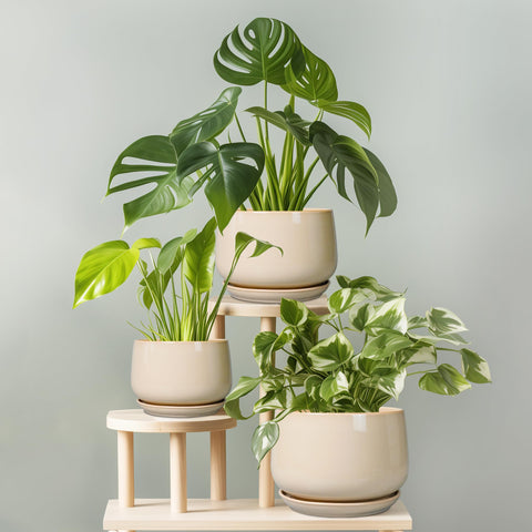 G EPGardening etiqueta con medidas visibles y especificaciones claras