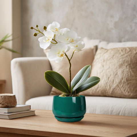 G EPGardening conjunto de macetas mostrando variedad y armonía decorativa