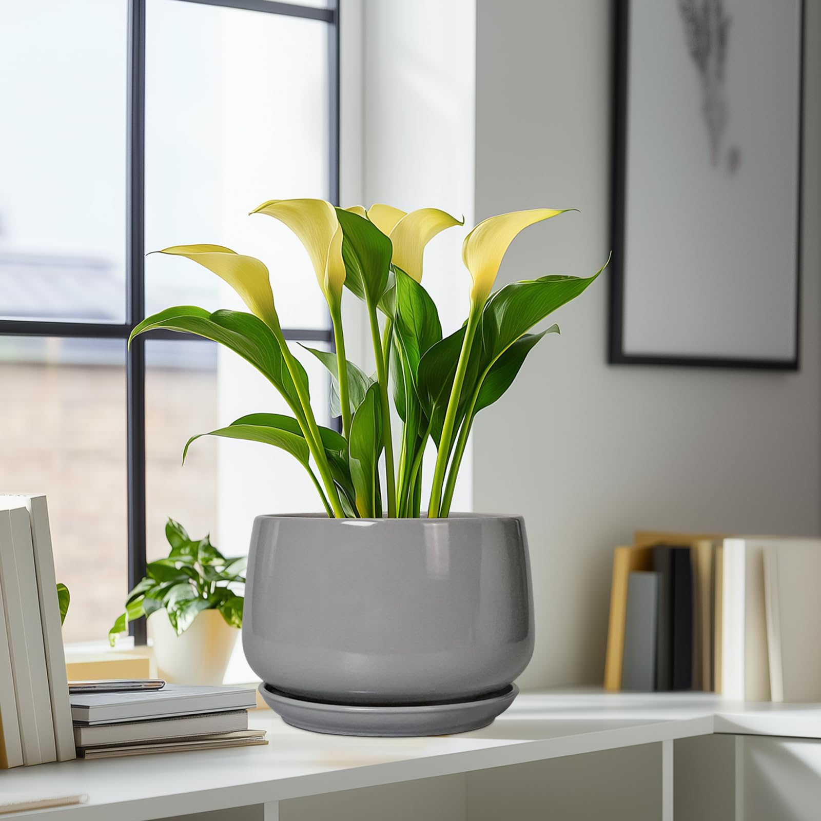 G EPGardening maceta en balcón protegido como decoración exterior