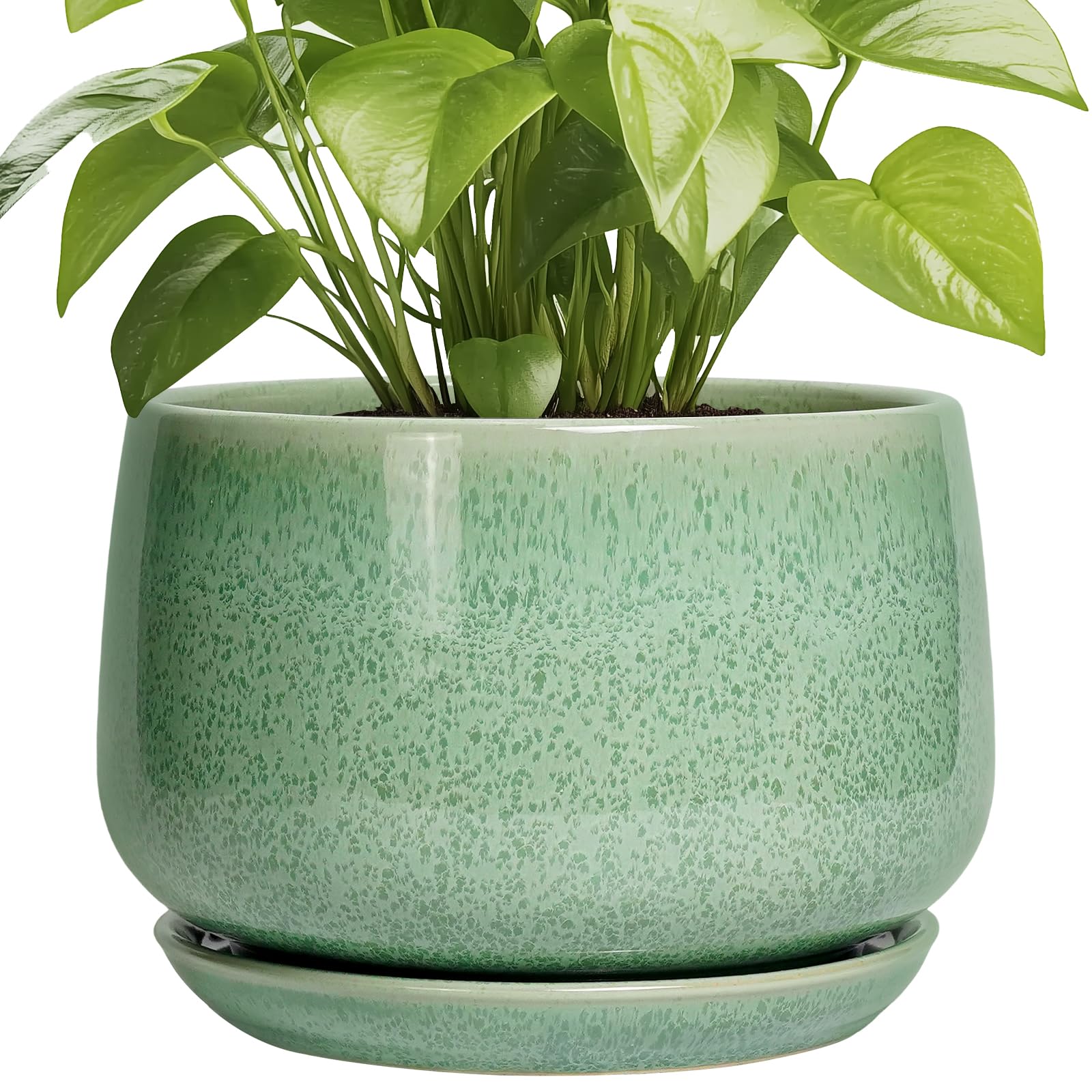 G EPGardening maceta frontal mostrando diseño moderno y beneficio estético