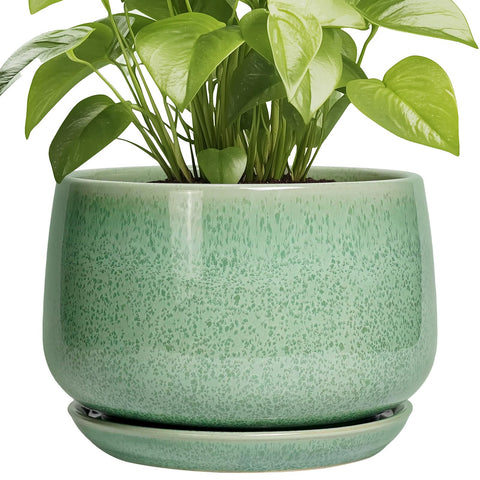 G EPGardening maceta frontal mostrando diseño moderno y beneficio estético