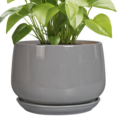 G EPGardening maceta cerámica gris vista frontal elegante
