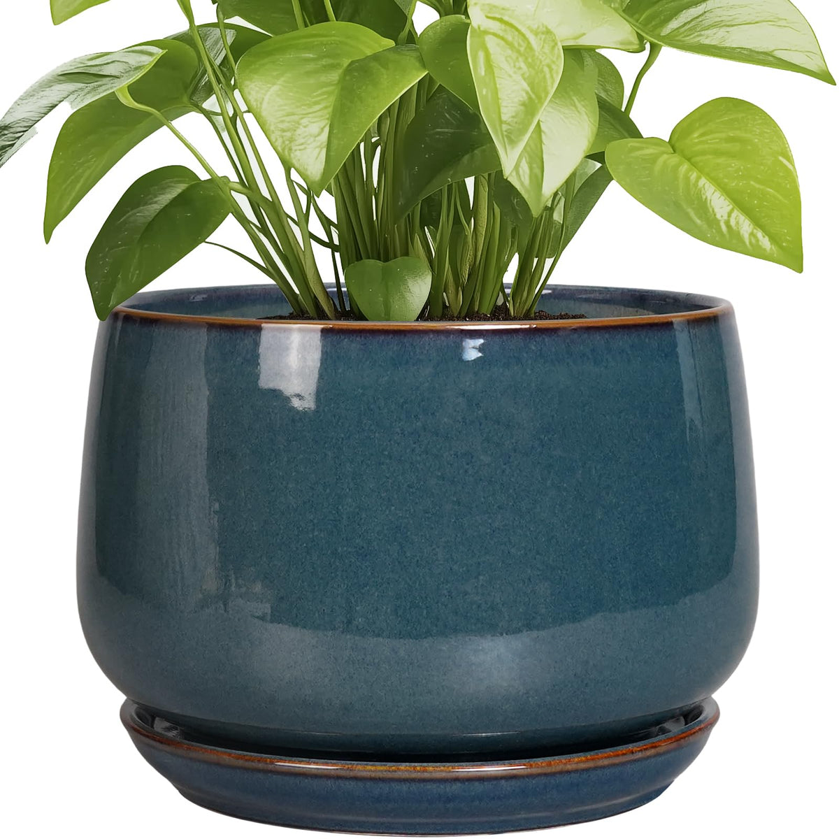 G EPGardening maceta frontal azul retro que embellece interiores