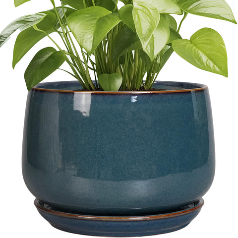 G EPGardening maceta frontal azul retro que embellece interiores