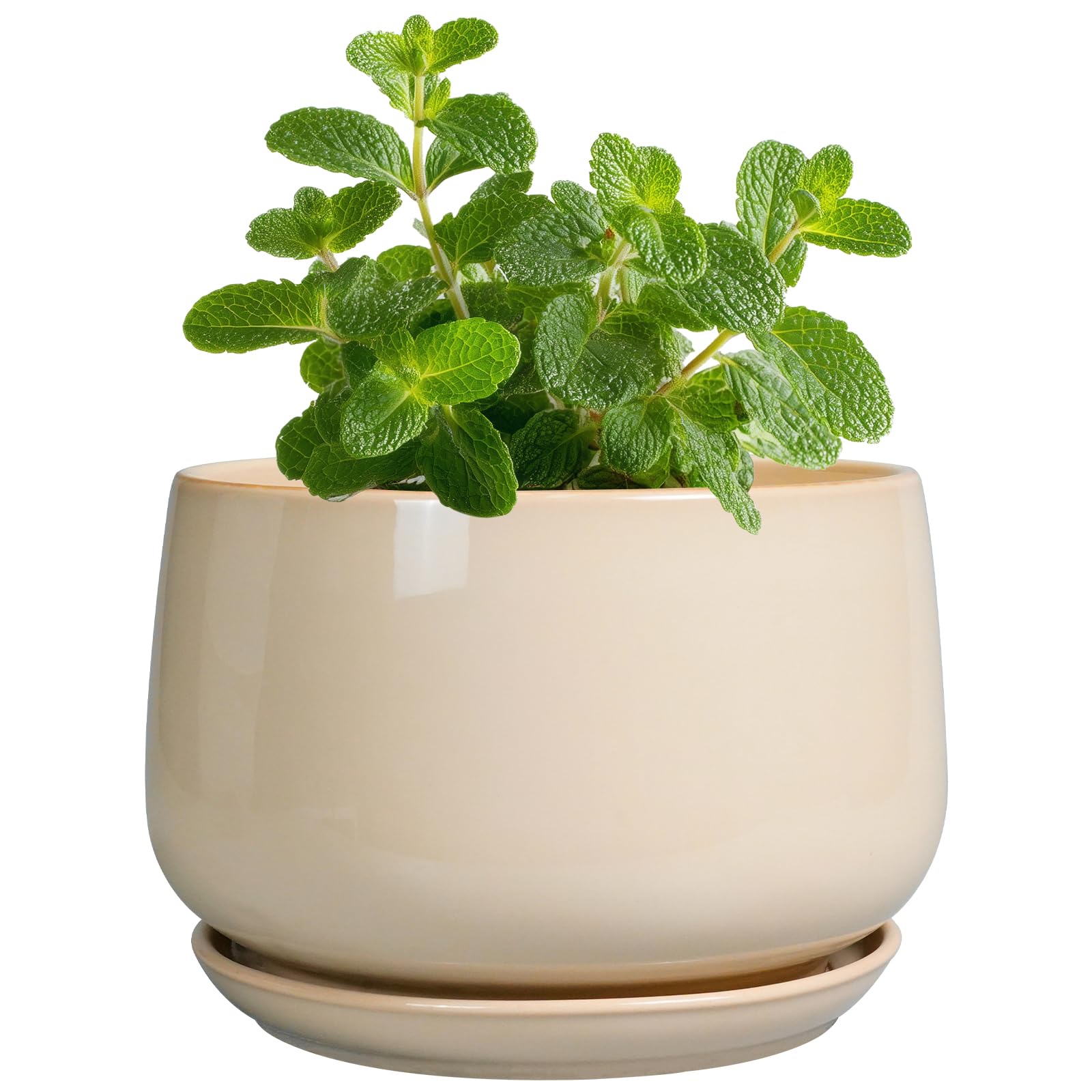 G EPGardening maceta cerámica frontal beige, diseño elegante y estable