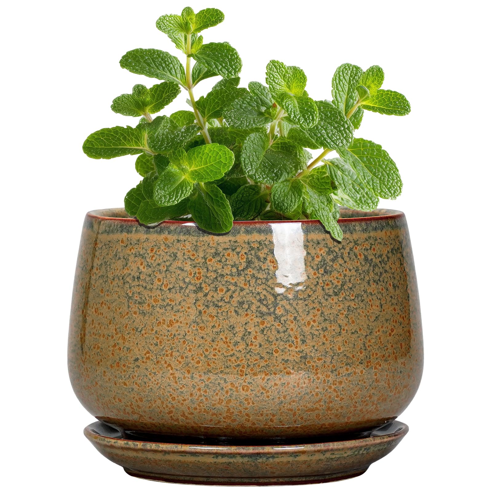 G EPGardening maceta cerámica frontal con acabado moteado, elegante y compacta