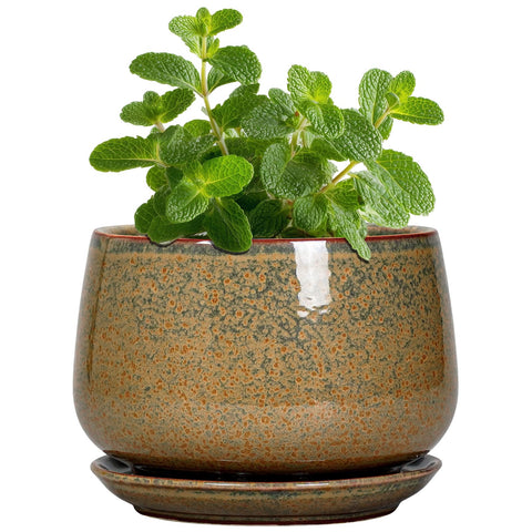 G EPGardening maceta cerámica frontal con acabado moteado, elegante y compacta