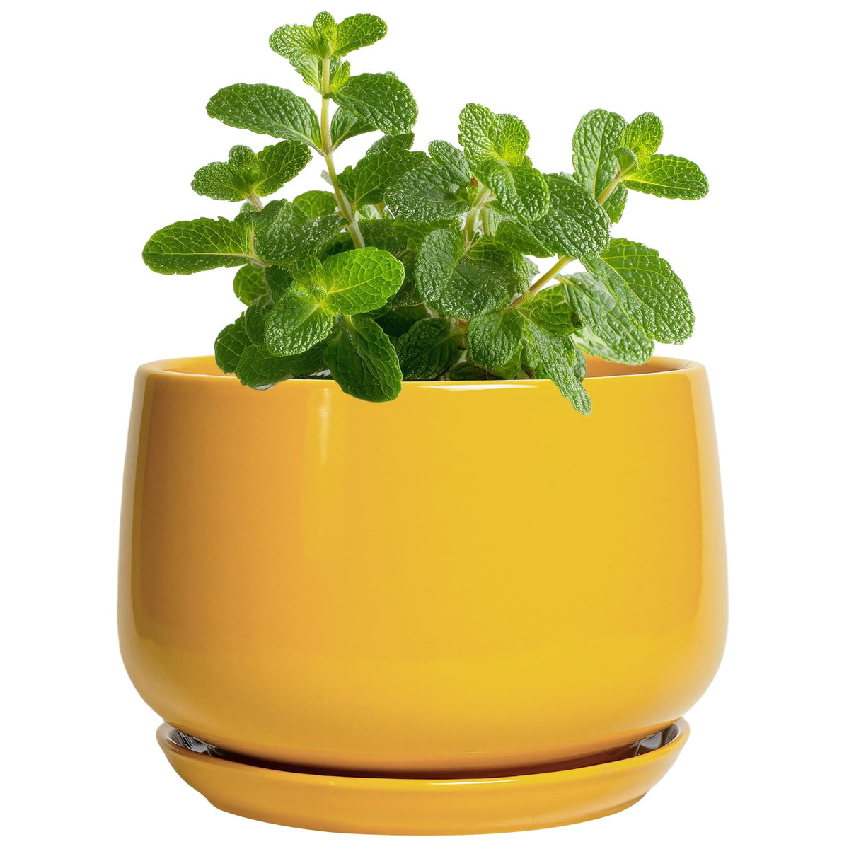 G EPGardening maceta cerámica frontal mostrando forma redonda y color amarillo para decoración