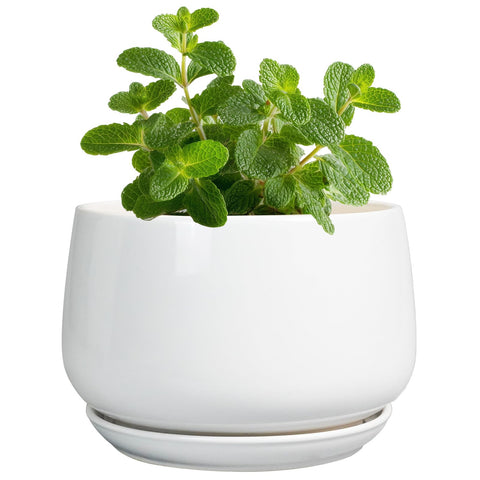 G EPGardening maceta frontal blanca mostrando forma redonda y esmaltado