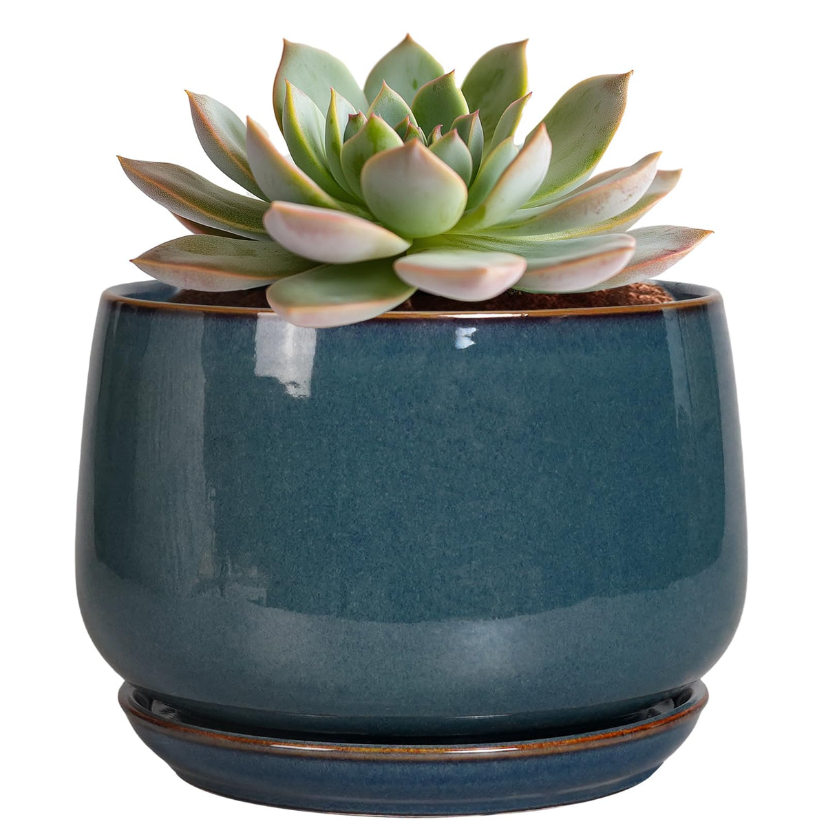 G EPGardening maceta frontal azul muestra diseño atractivo y durabilidad