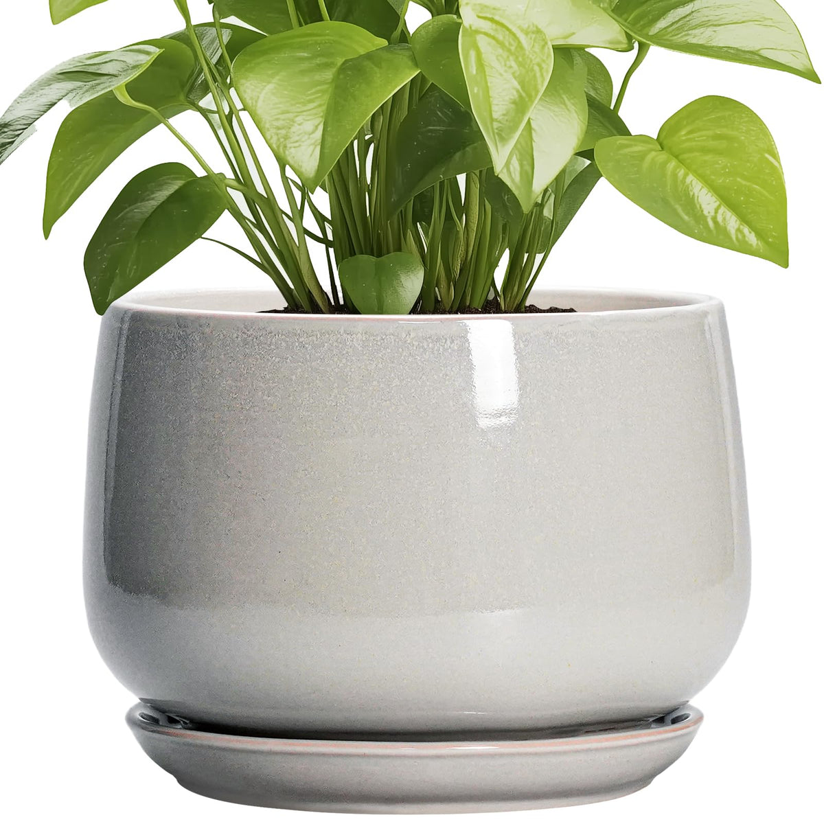 G EPGardening maceta frontal mostrando forma redonda y acabado elegante