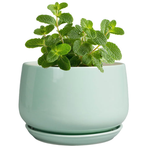 G EPGardening maceta frontal con acabado esmaltado y estilo moderno