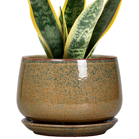 G EPGardening maceta frontal elegante y resistente