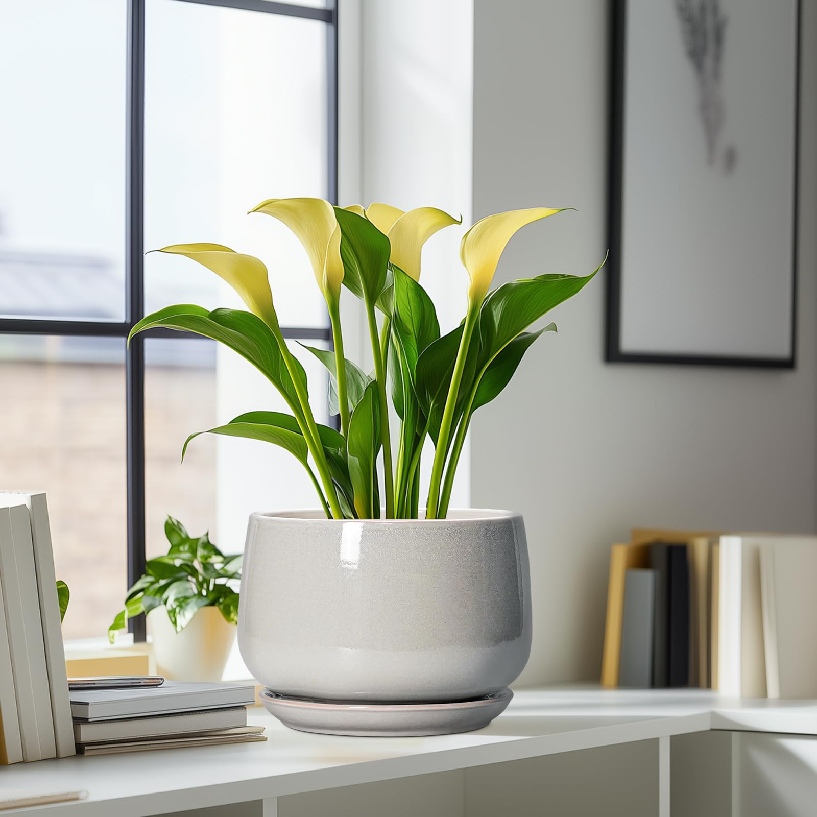 G EPGardening comparación de tamaño para ubicaciones y sustratos