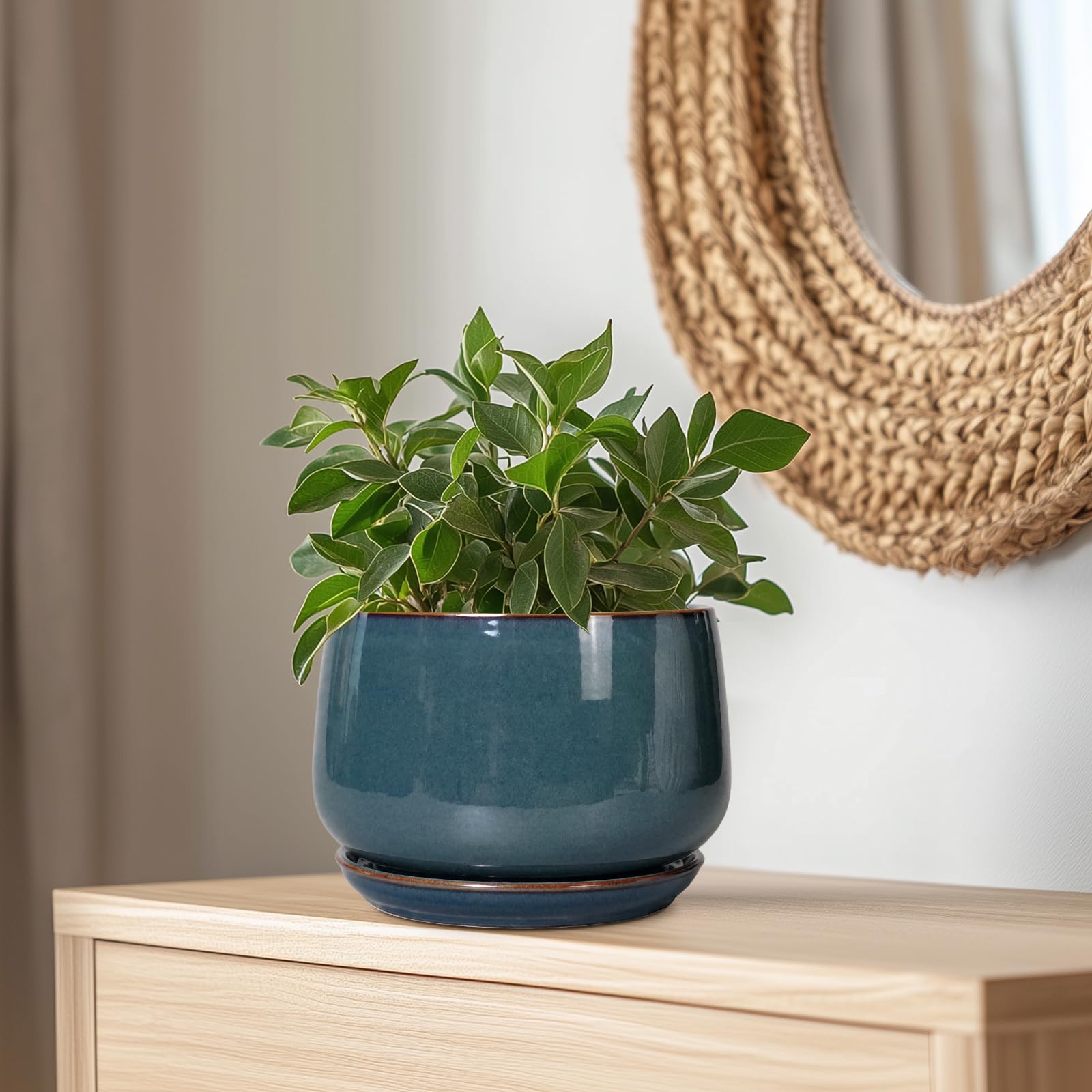 G EPGardening comparación de tamaño ideal para plantas medianas