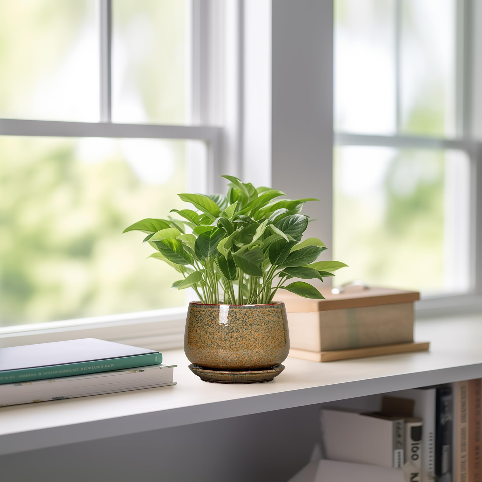 G EPGardening comparación de tamaño junto a una taza para evaluar escala y ajuste