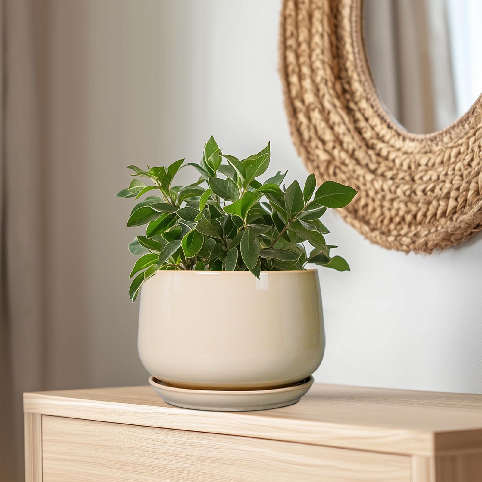 G EPGardening maceta en uso con monstera aportando estilo a interiores