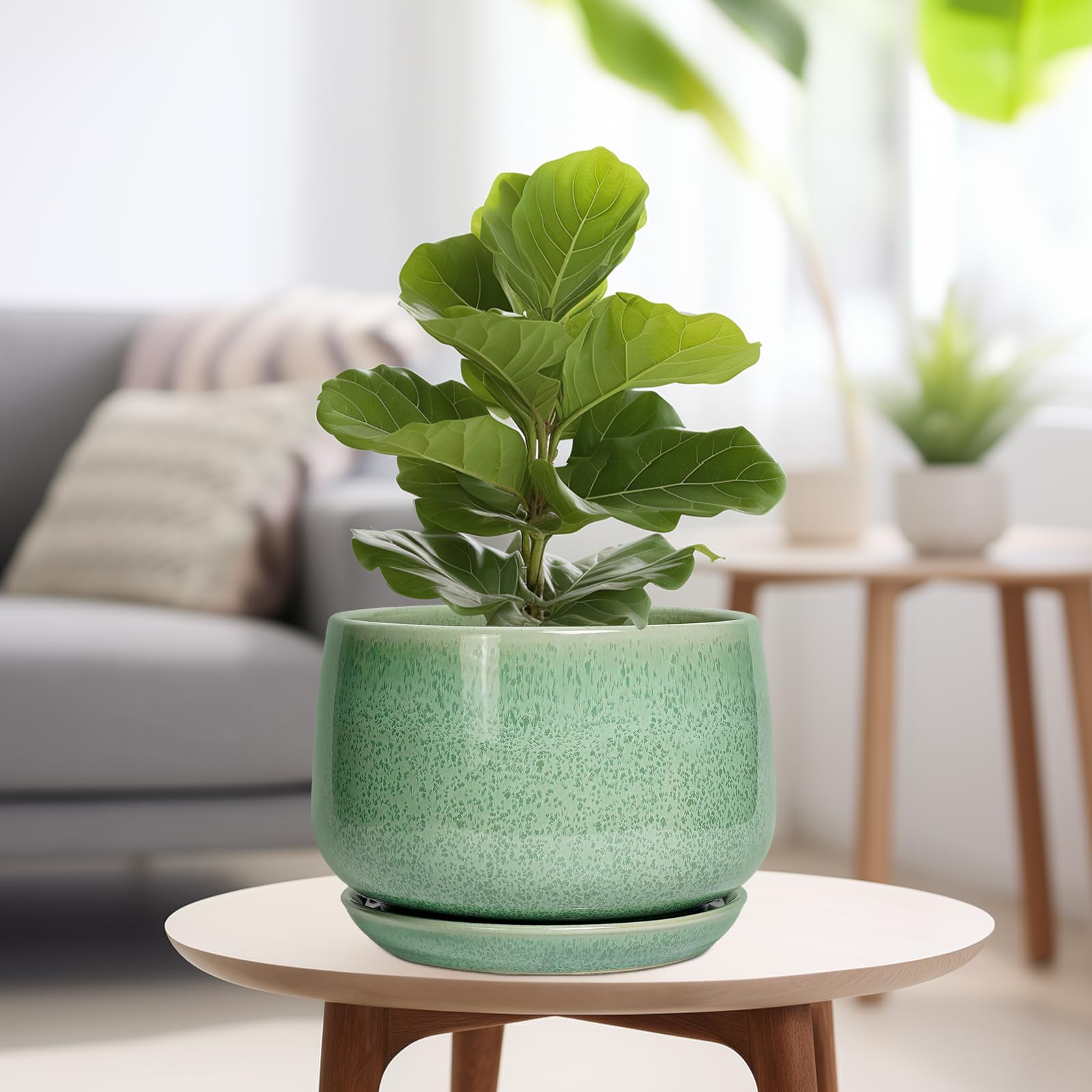 G EPGardening maceta con monstera demostrando uso interior decorativo