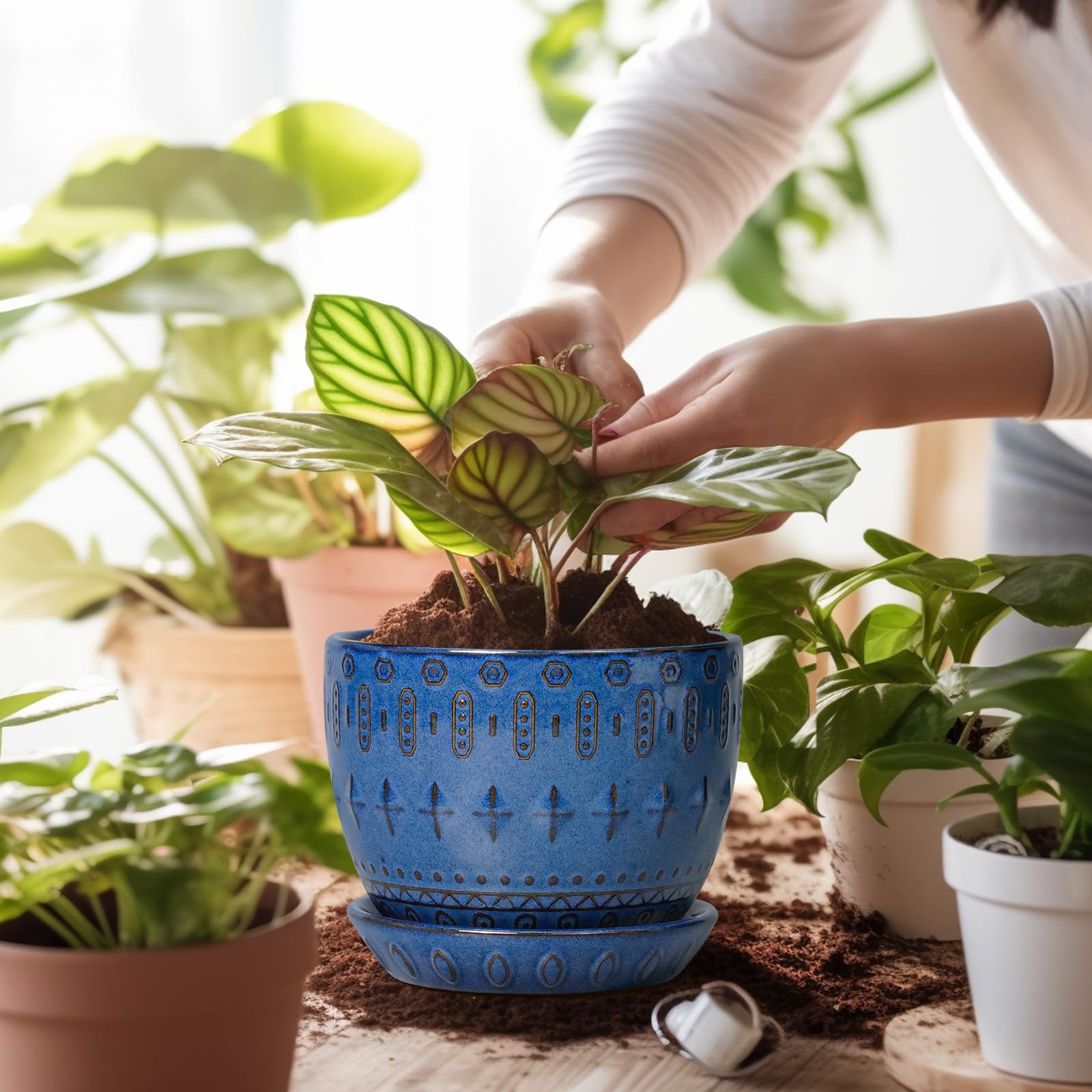 G EPGardening vista superior con plato cerámico que recoge exceso de agua