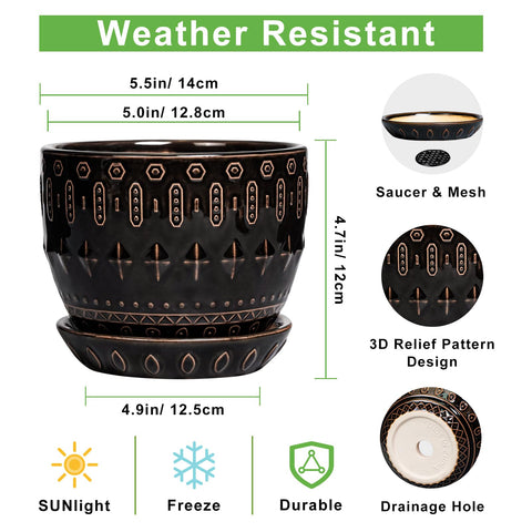 G EPGardening vista superior con plato, mantiene superficies limpias