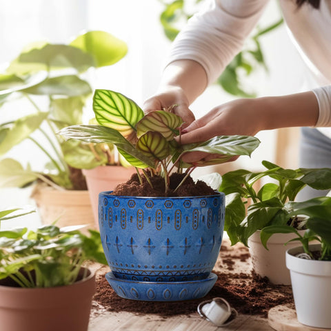 G EPGardening vista superior con plato cerámico que recoge exceso de agua