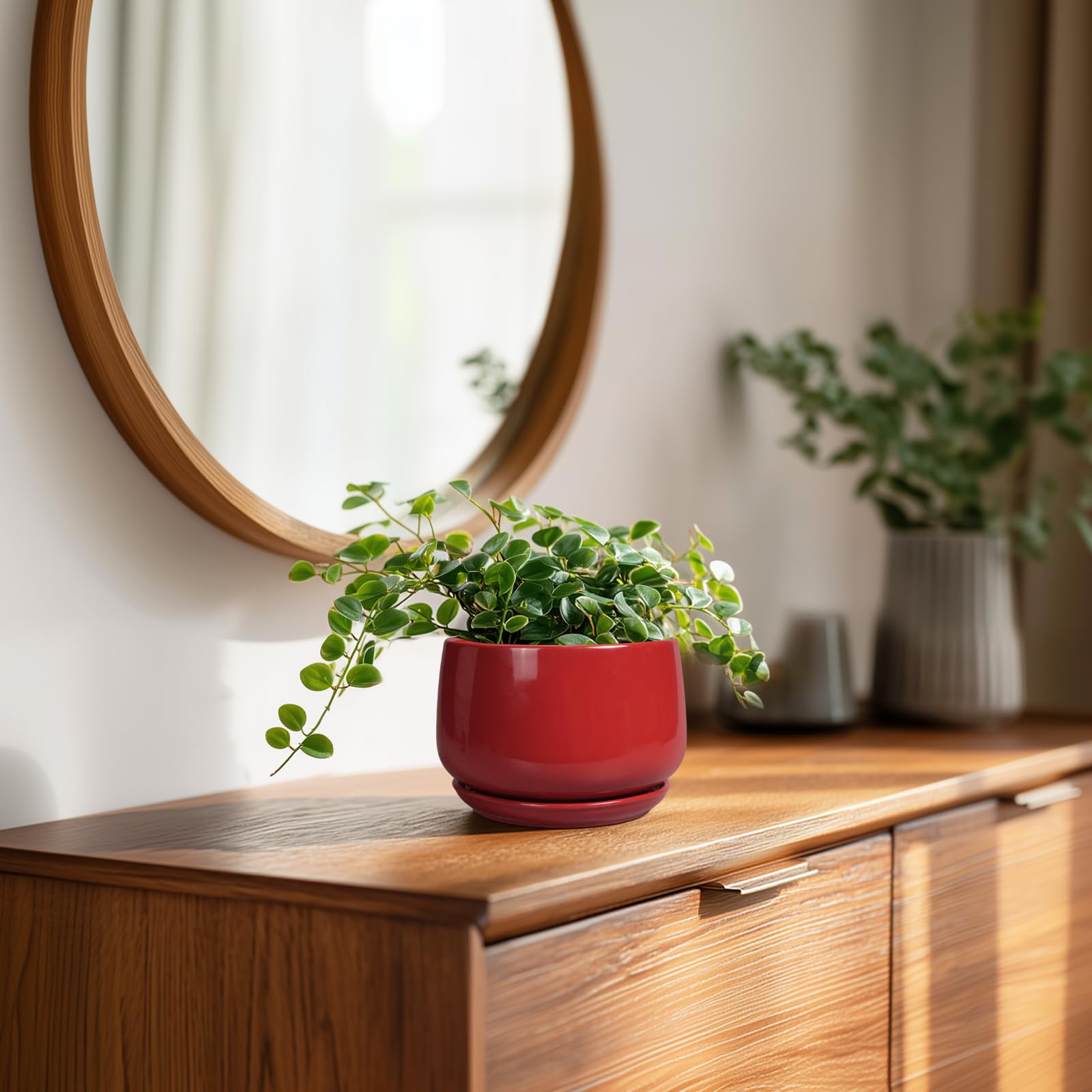 G EPGardening maceta con suculenta en uso añadiendo verde decorativo
