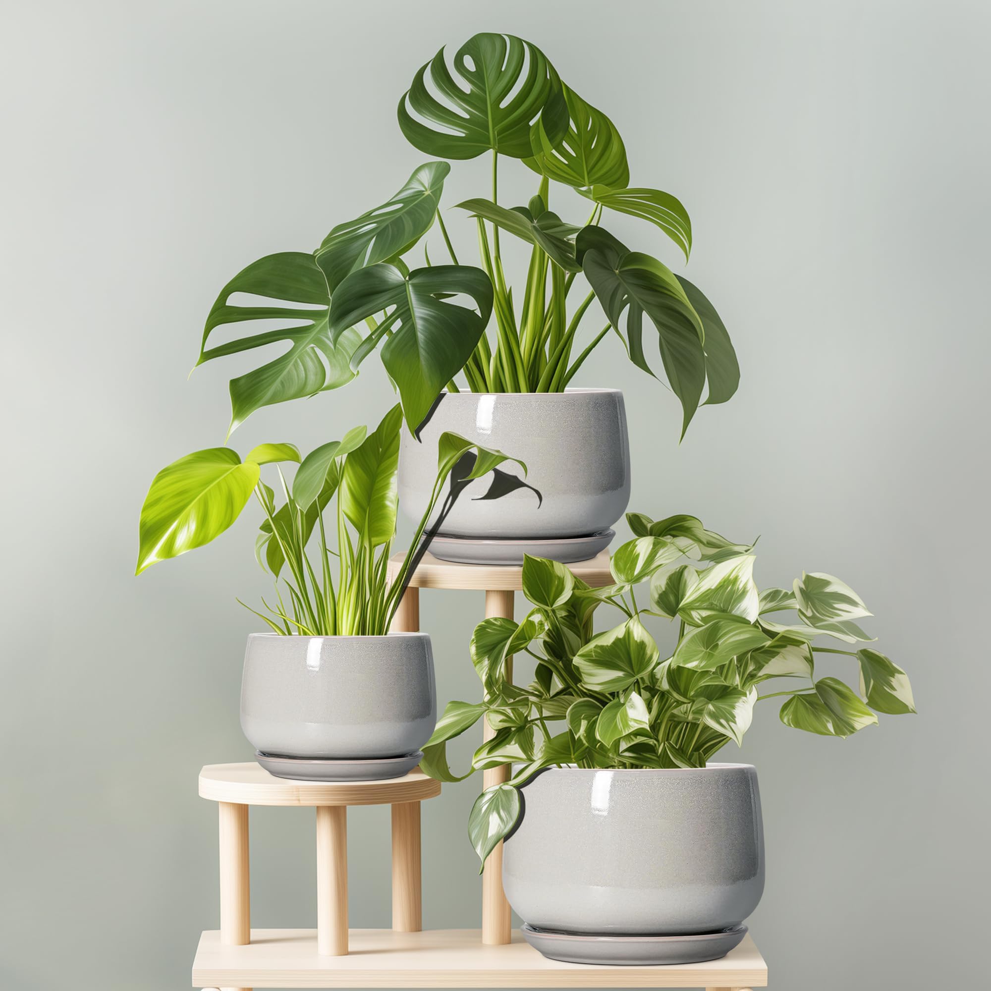 G EPGardening maceta con suculentas demostrando buen drenaje