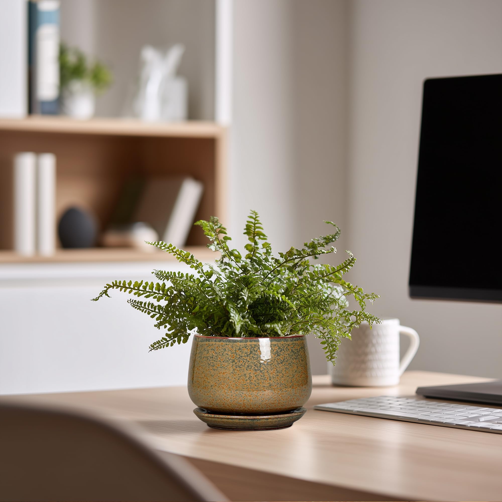 G EPGardening en ambiente decorativo sobre repisa, aporta calidez y estilo al hogar