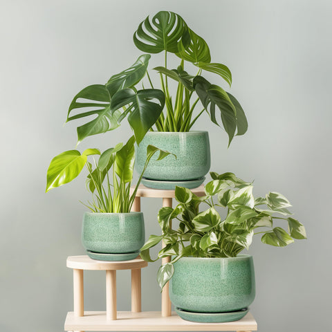 G EPGardening maceta en balcón integrando decoración exterior protegida