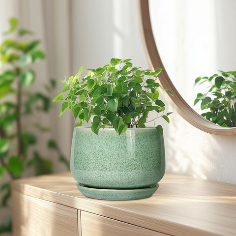 G EPGardening maceta en balcón amueblado mostrando adaptabilidad exterior protegida
