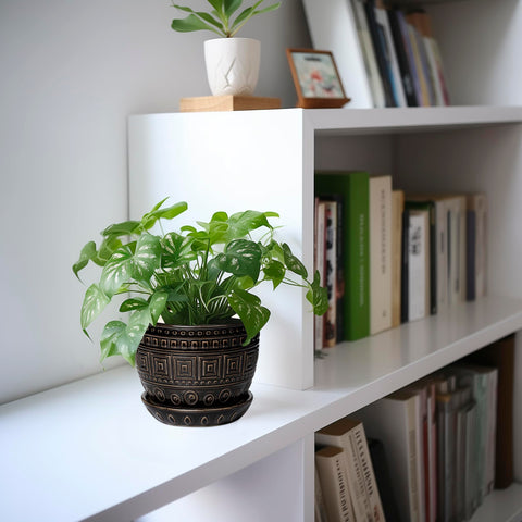 G EPGardening maceta en una estantería mostrando uso decorativo interior