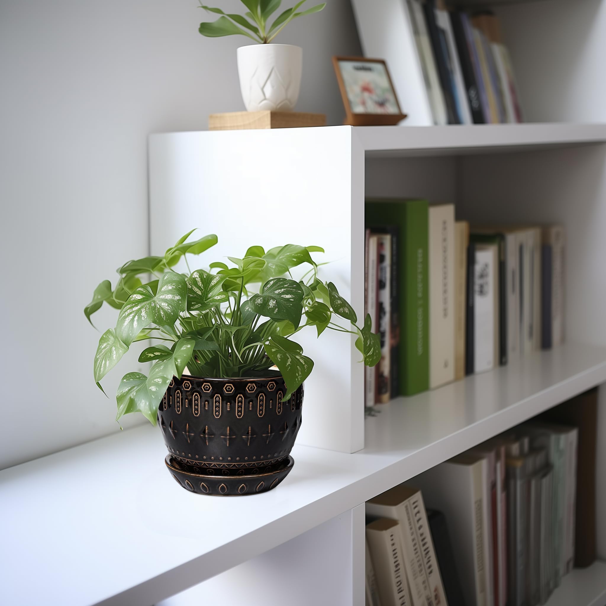 G EPGardening maceta en interior sobre mesa, aporta estilo y orden