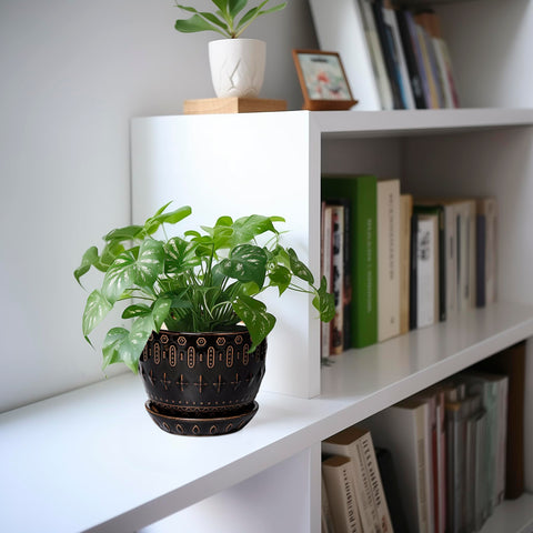 G EPGardening maceta en interior sobre mesa, aporta estilo y orden