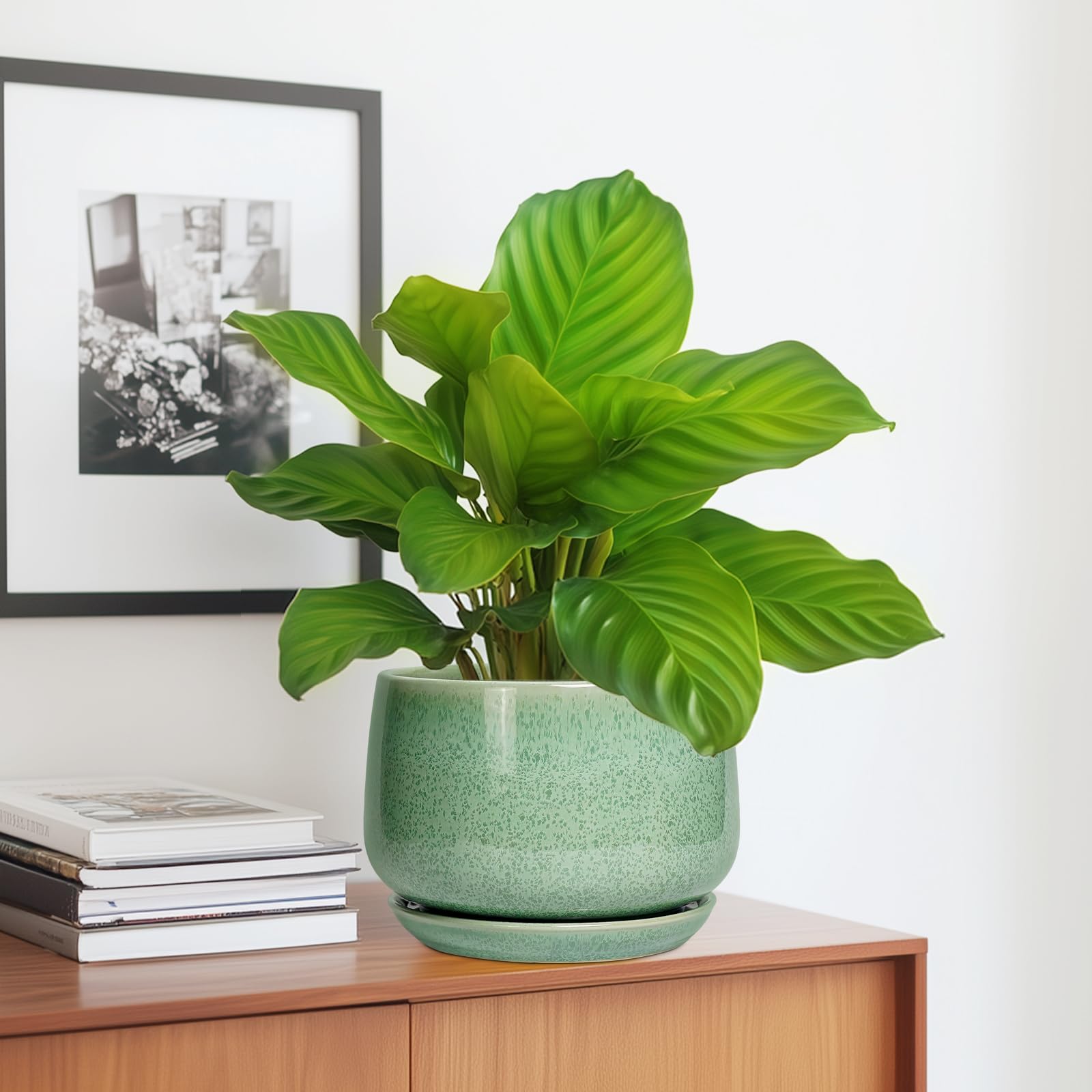 G EPGardening maceta en mesa de sala con planta, aporta estilo y orden