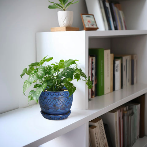 G EPGardening maceta en interior aportando color y estilo al espacio