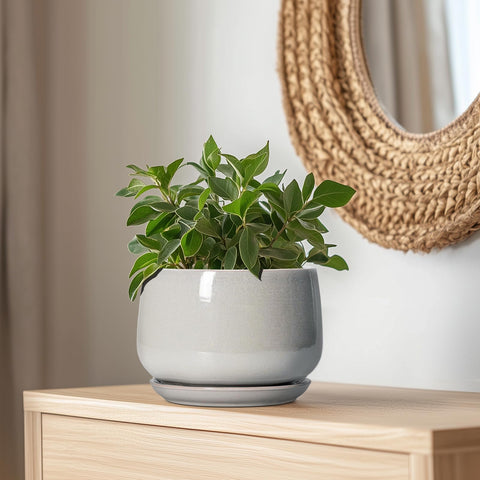 G EPGardening maceta en uso en salón realzando la decoración interior