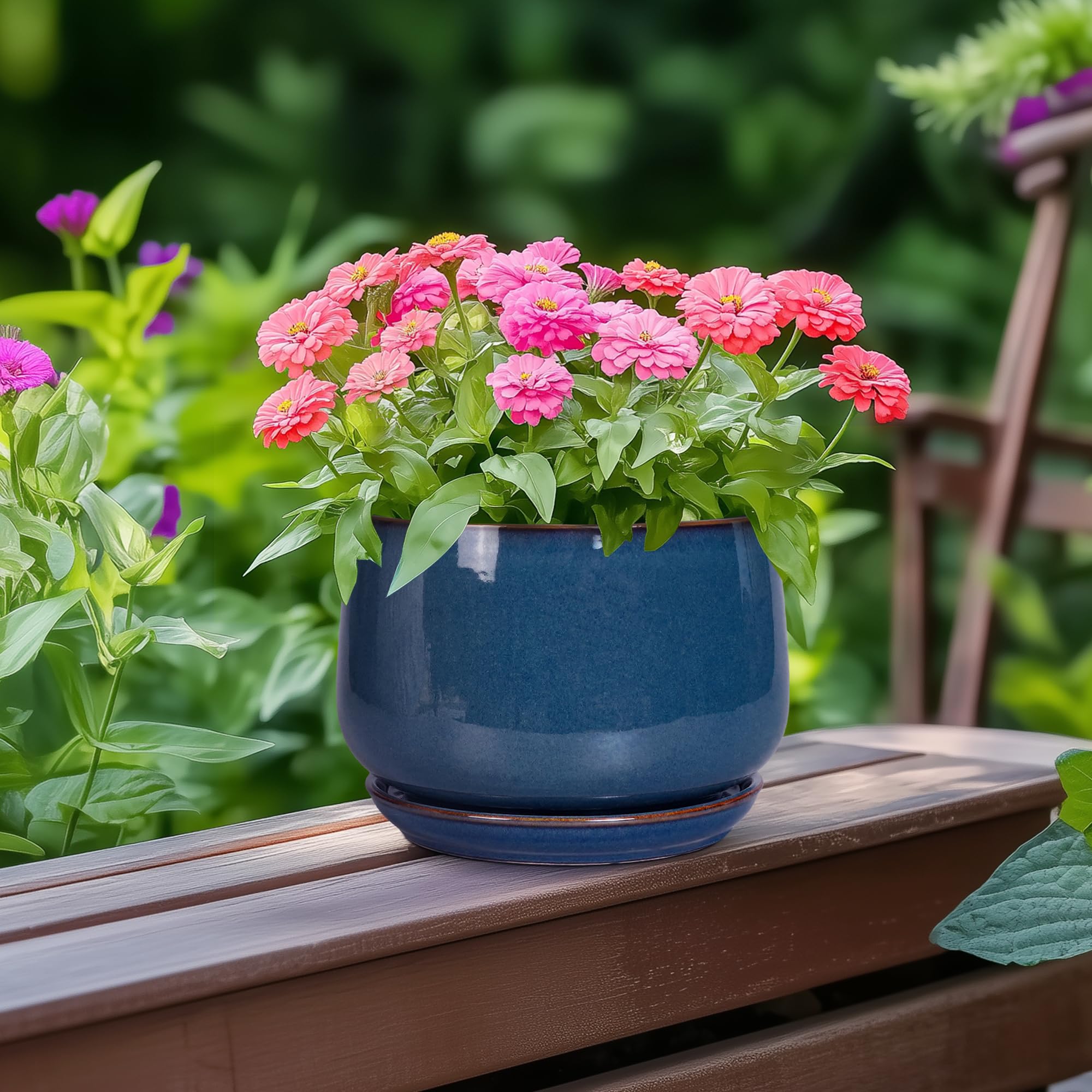 G EPGardening maceta con suculenta en uso aporta estilo y cuidado práctico