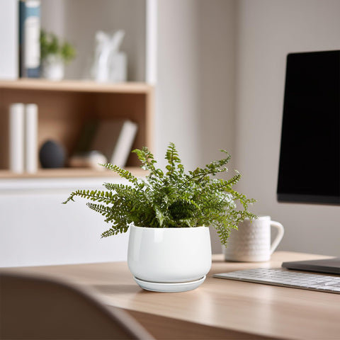 G EPGardening maceta en ambiente decorativo iluminando sala u oficina
