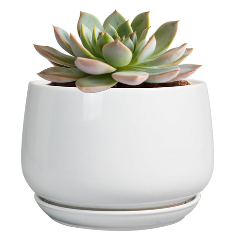 G EPGardening maceta frontal blanca presenta estilo moderno y elegancia