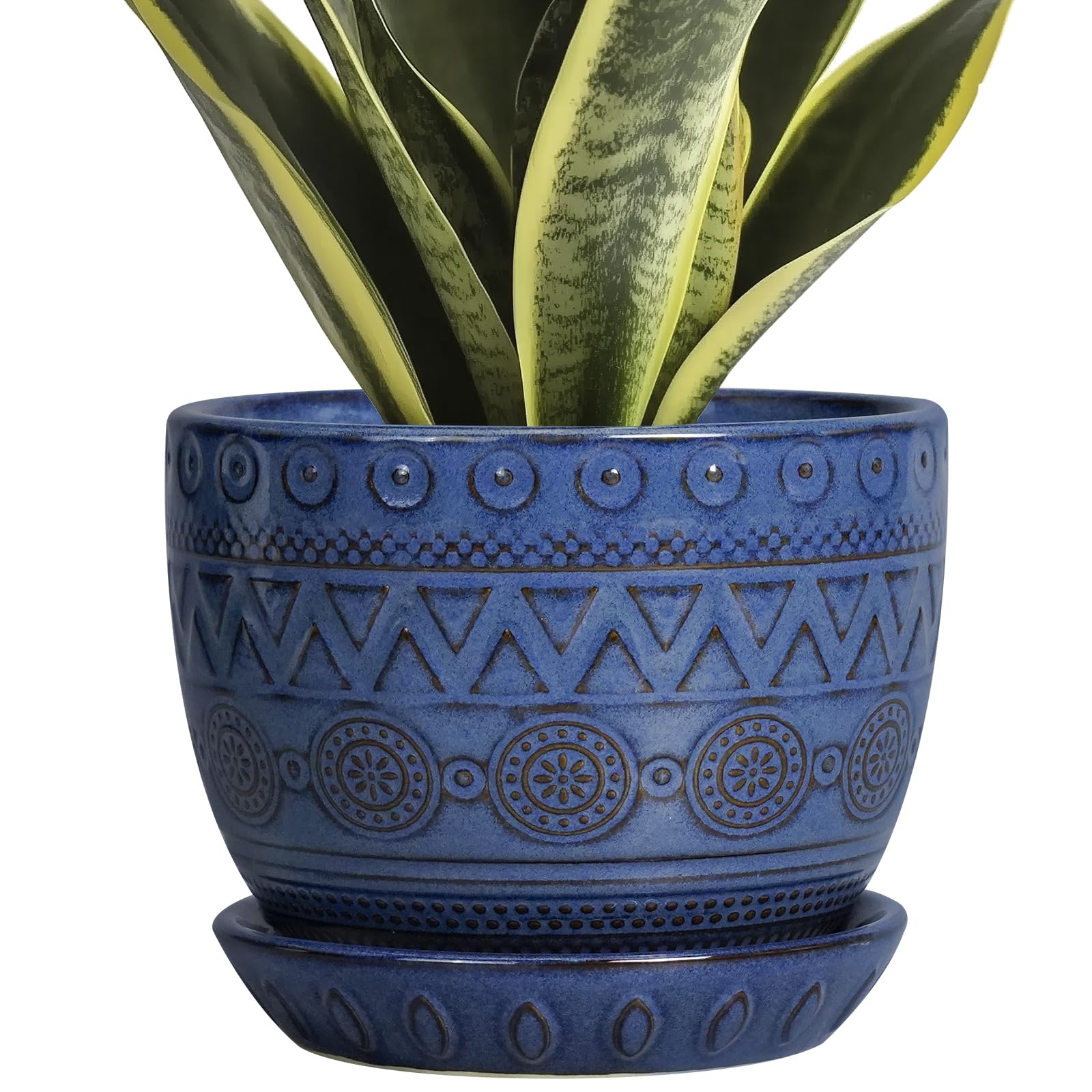 G EPGardening maceta frontal azul mostrando diseño moderno y elegancia