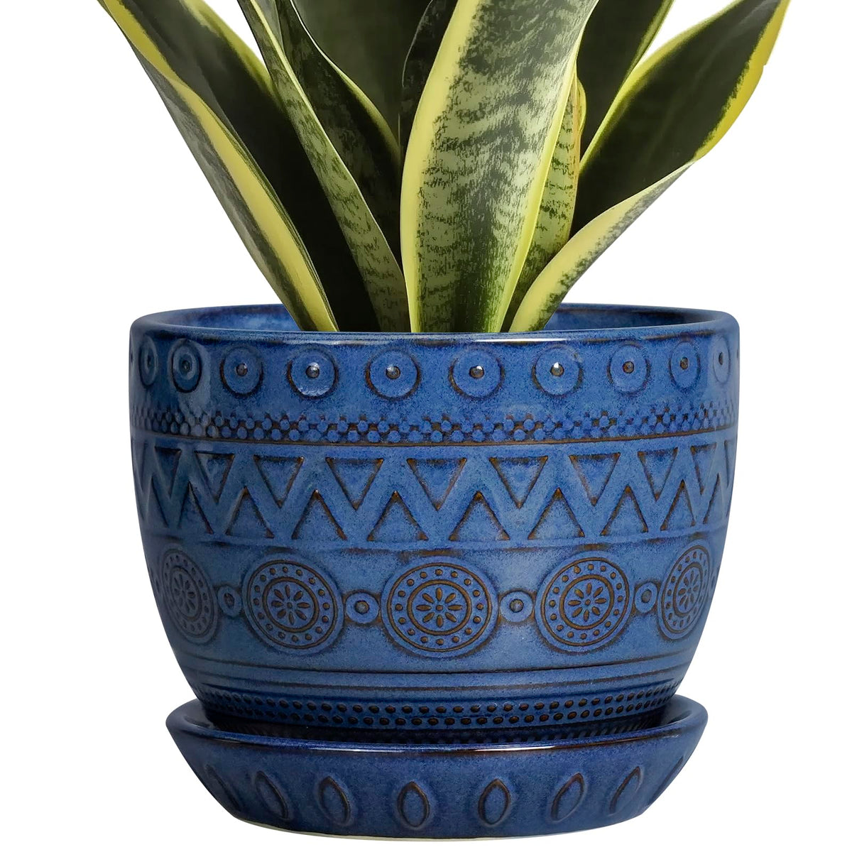 G EPGardening maceta frontal azul mostrando diseño moderno y elegancia