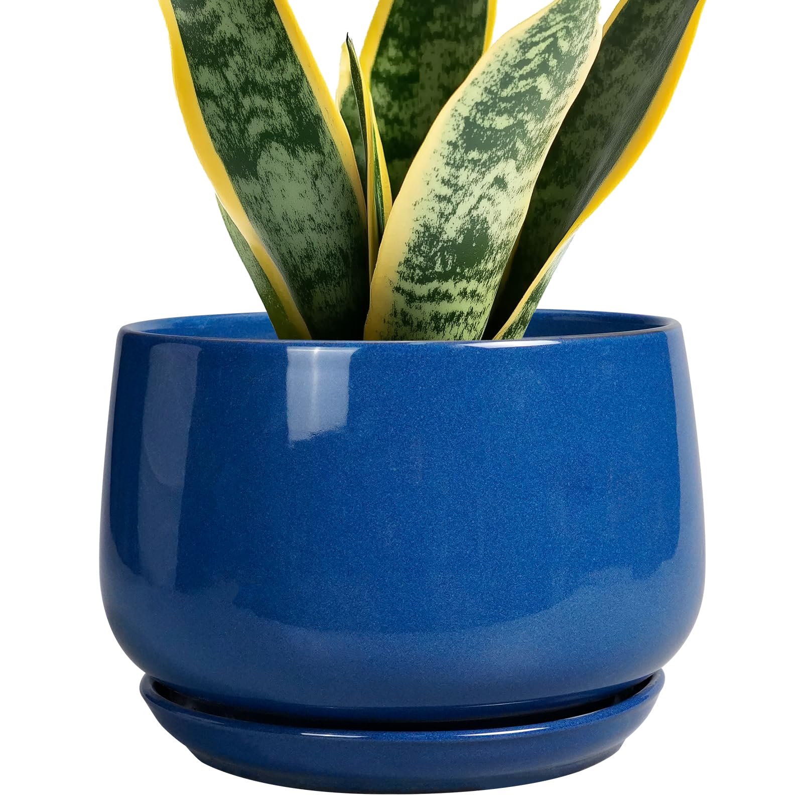 G EPGardening maceta frontal azul mostrando diseño moderno y estabilidad