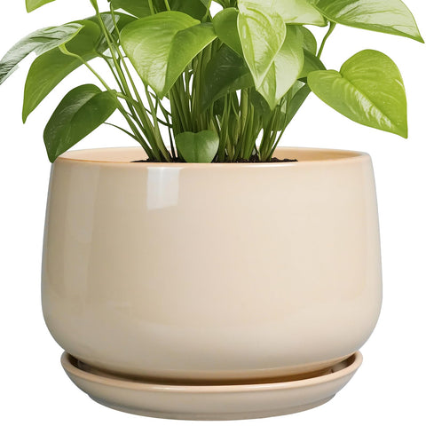 G EPGardening maceta frontal beige mostrando diseño moderno y acabado duradero