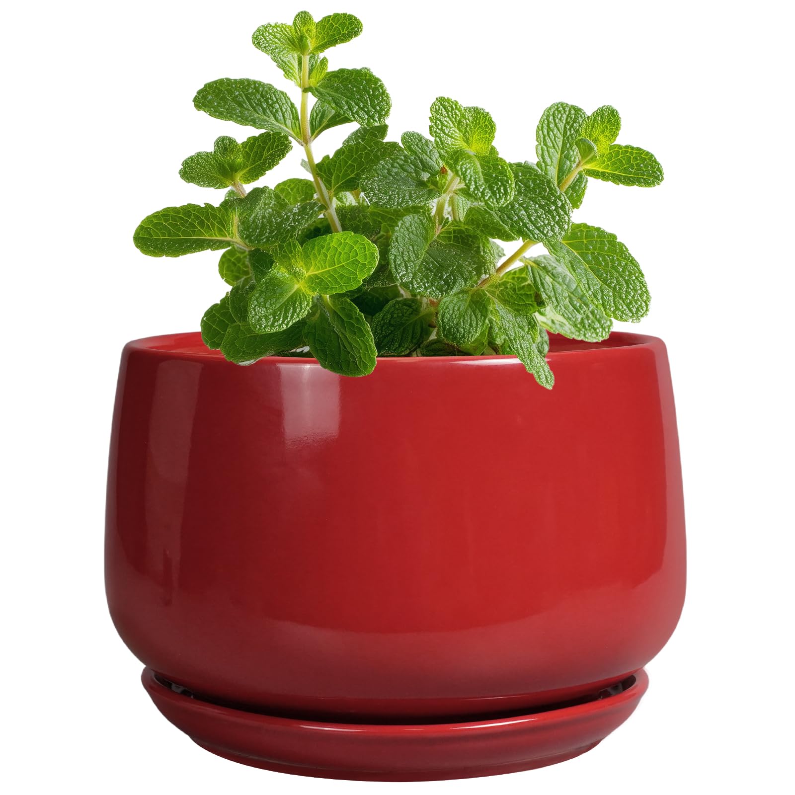 G EPGardening maceta frontal roja que destaca color y diseño