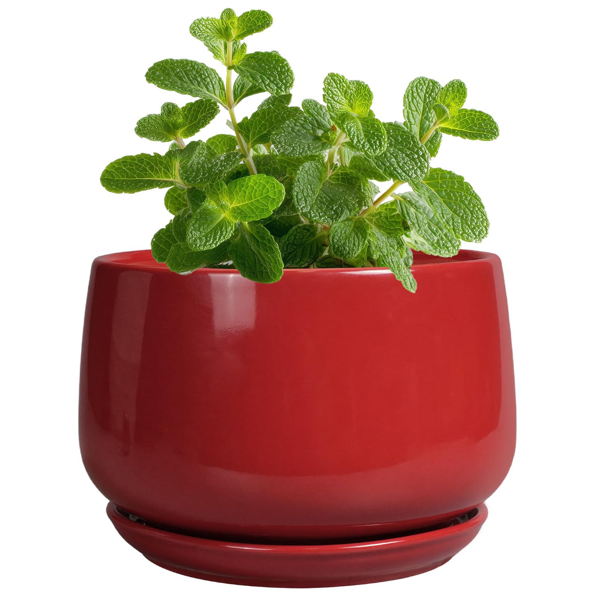 G EPGardening maceta frontal roja que destaca color y diseño
