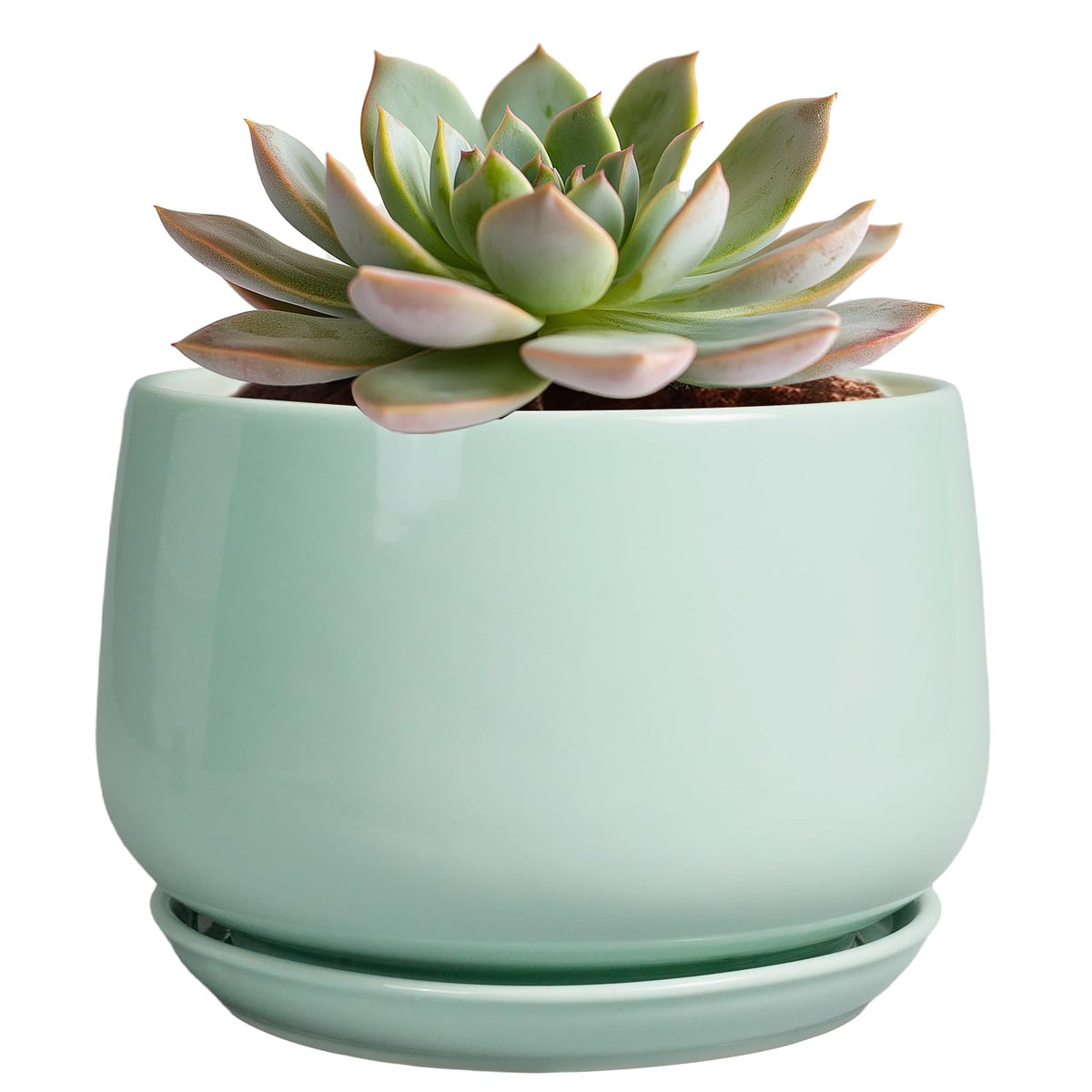 G EPGardening maceta frontal verde mostrando acabado y forma, elegante y resistente