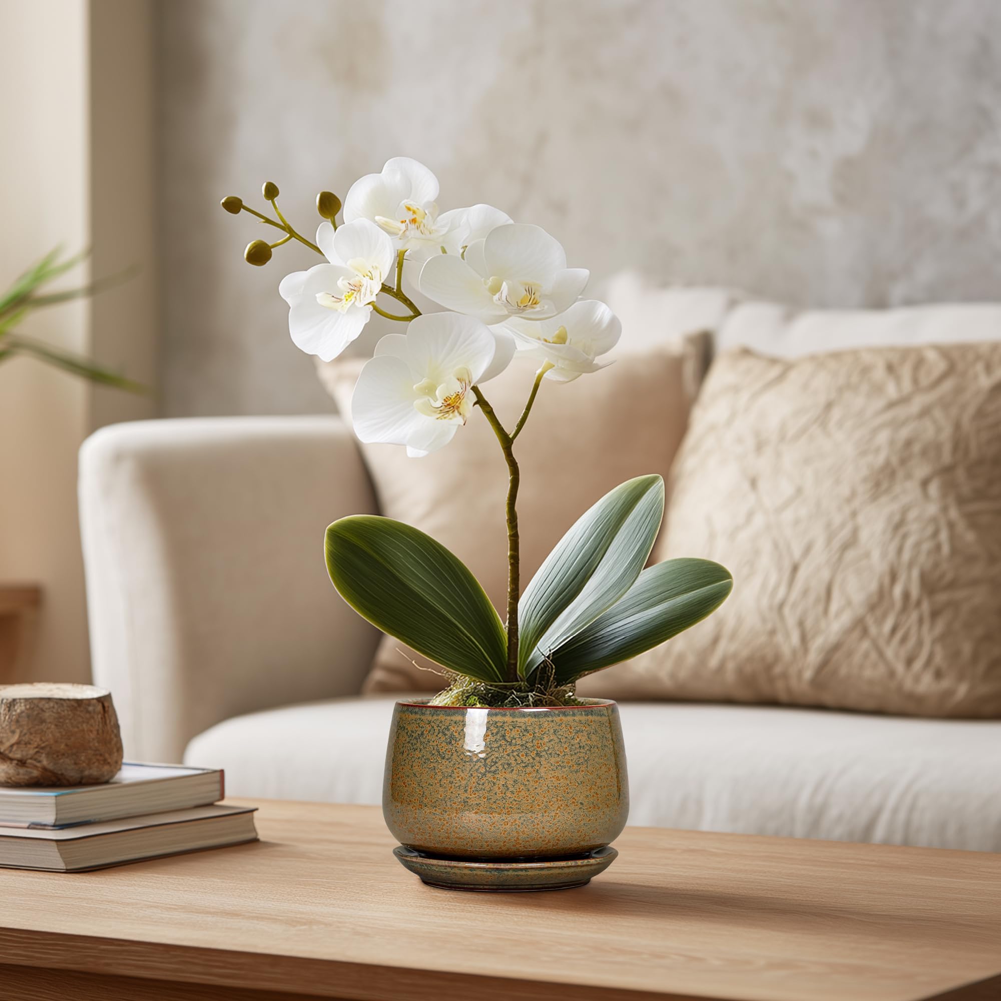 G EPGardening maceta con suculenta plantada mostrando su uso práctico y ornamental