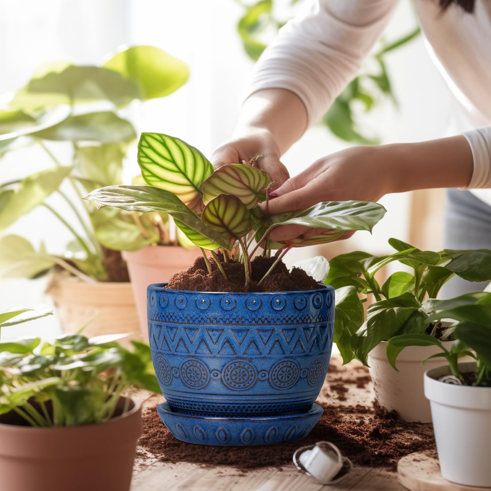 G EPGardening rejilla de drenaje que facilita flujo de agua y salud